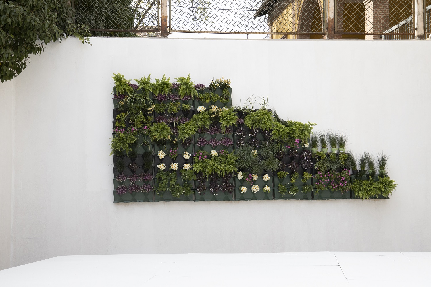 plantas en Masters de la reforma