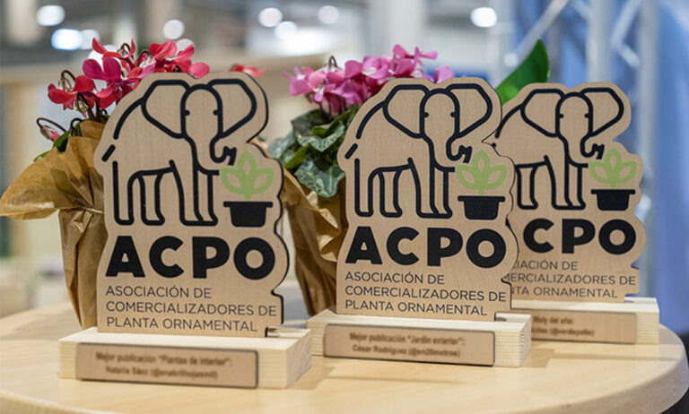 acpo_premios_trompa_verde_15072025135126