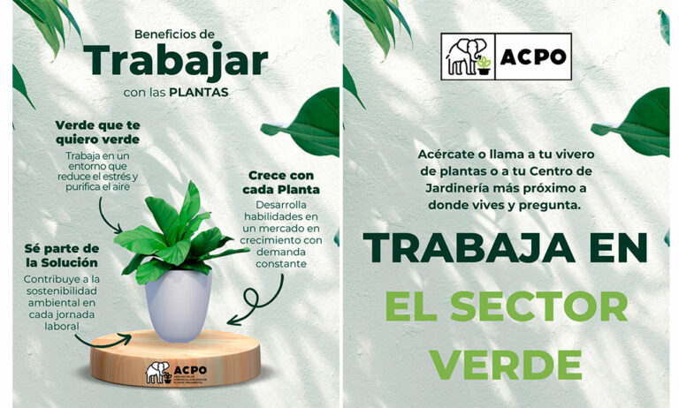 acpocampanha_21022025111128