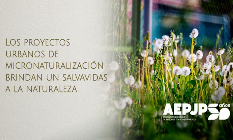aepjp_12042023140759