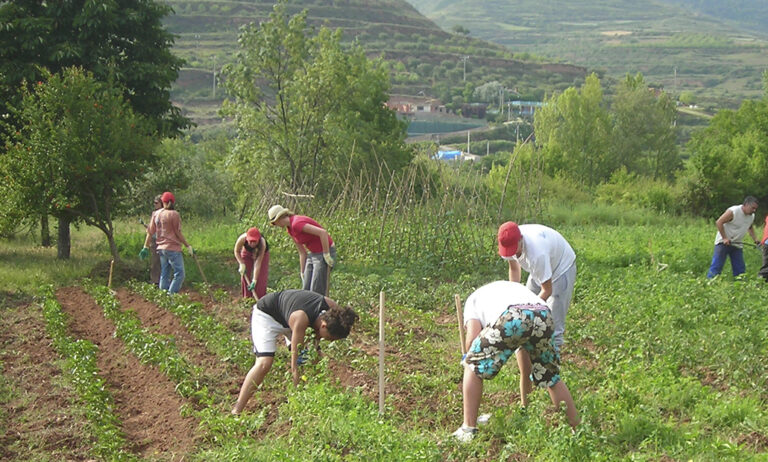 agricultores_26052020150332