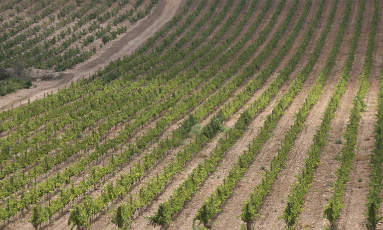 agroambient_02052019073934