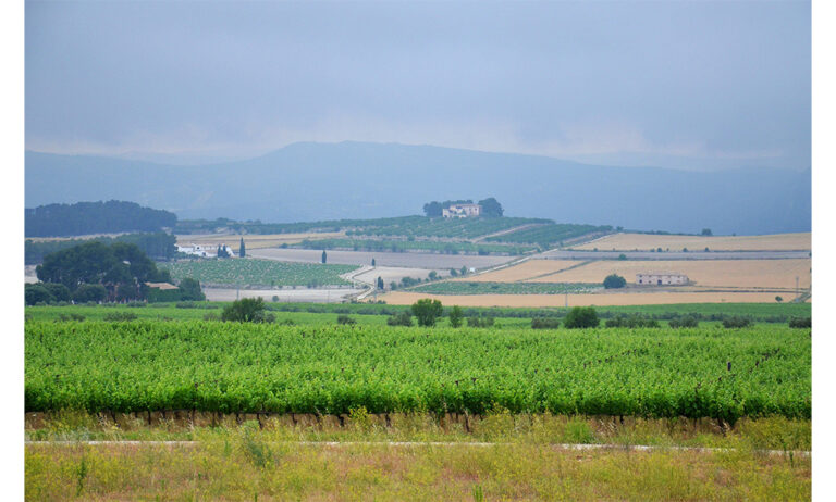 agroambient_18112019150223