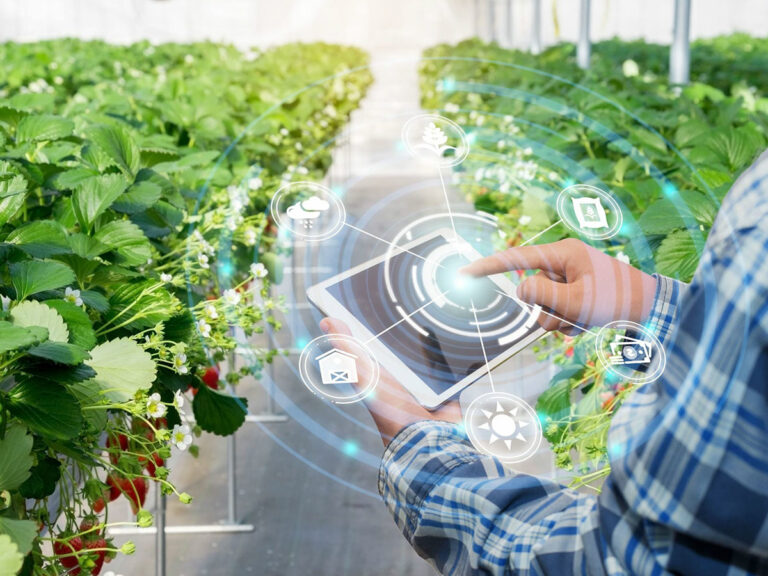 agrotech-1er-informe-agrotech-2021-11_10012022112035