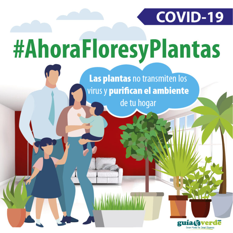 ahorafloresyplantas_01042020153712