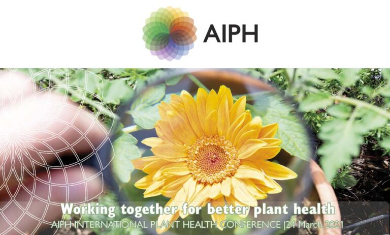 aiph_sanidad_01032021123953