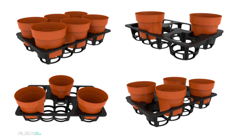 alber-horticultura_06092024122501