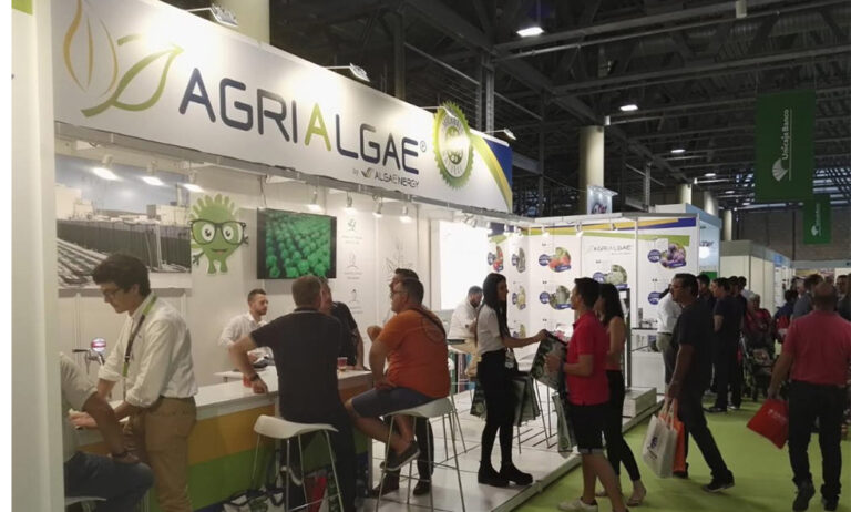 alga2_11062019101223