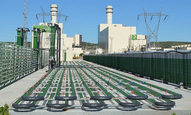 alga_energy_08102020082544