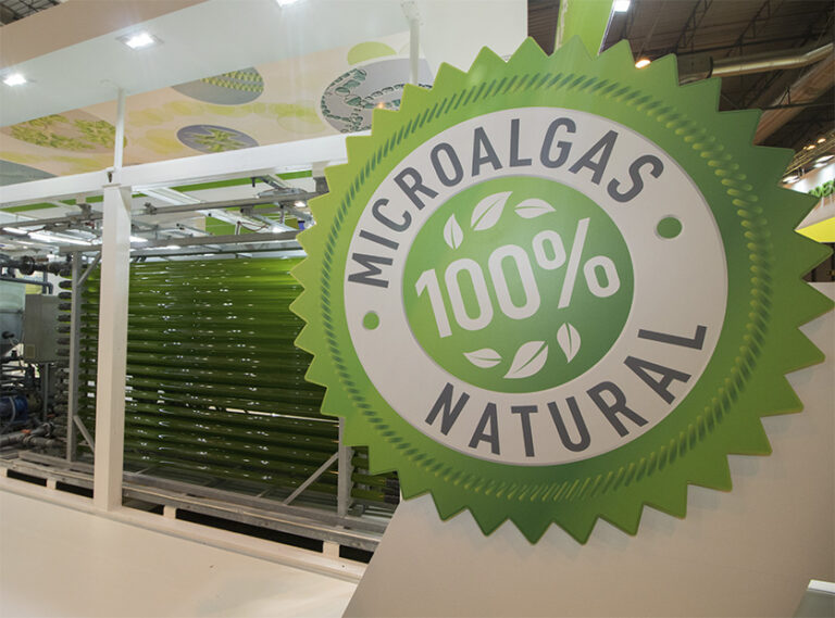 alga_energy_10042019145347