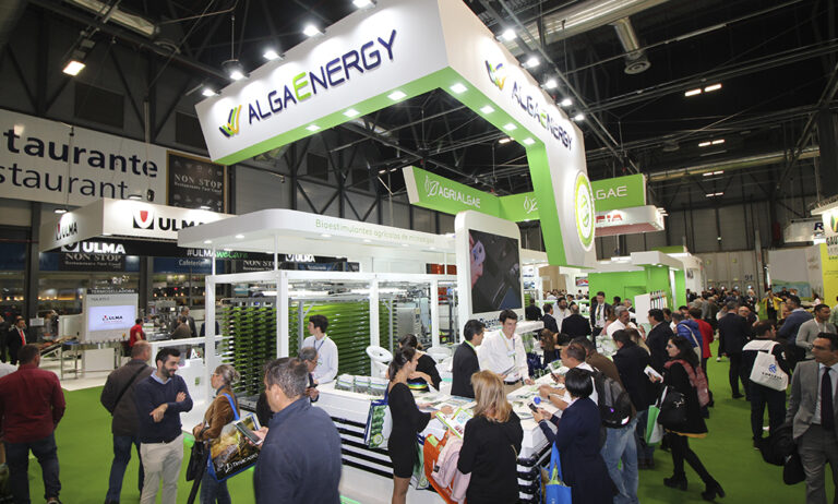 algaenergy1_29102019080108