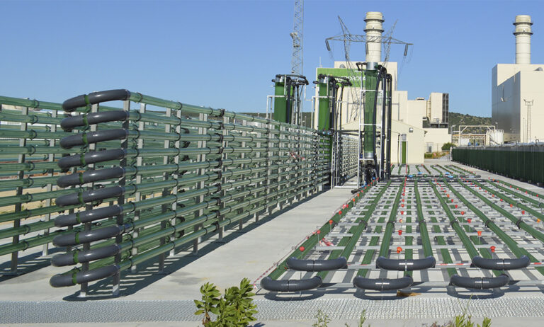 algaenergy_08052019101231