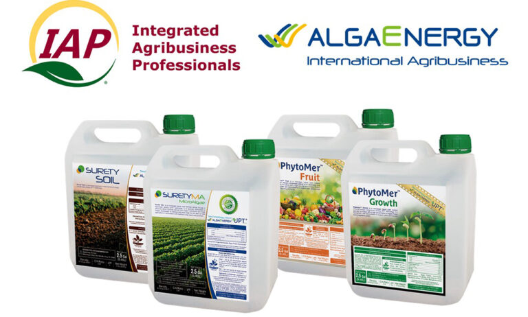 algaenergy_08072020062006