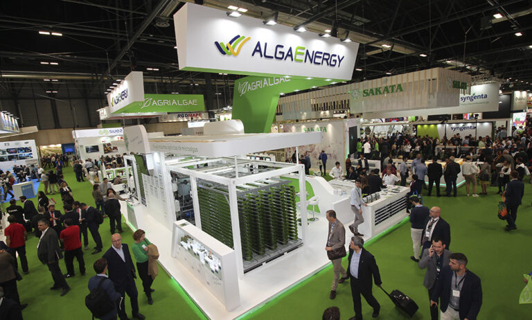 algaenergy_08092021112927