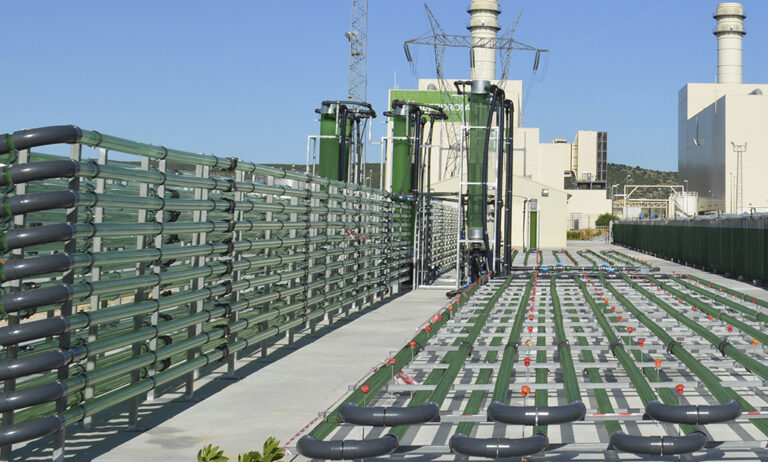 algaenergy_11052020080851