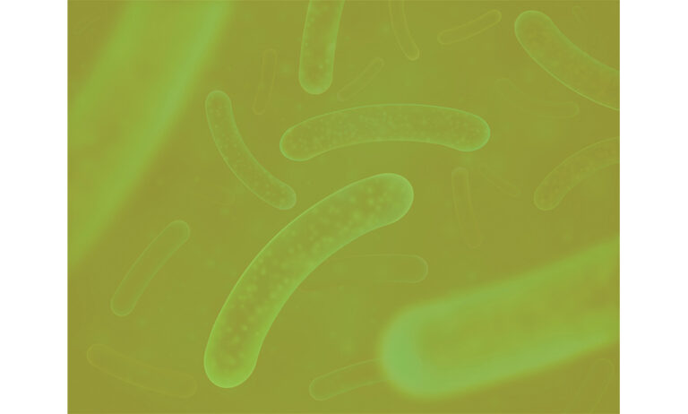 algaenergy_16092020090417