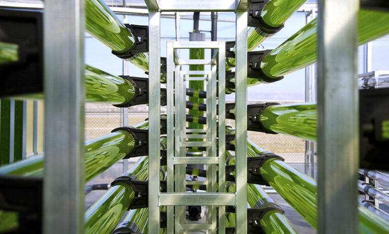 algaenergy_20052020062645