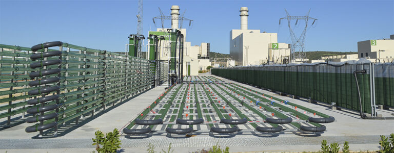 algaenergy_21102019064335