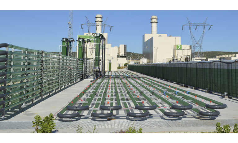 algaenergy_24032021083917