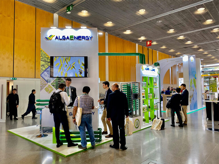 algaenergy_26112019102304