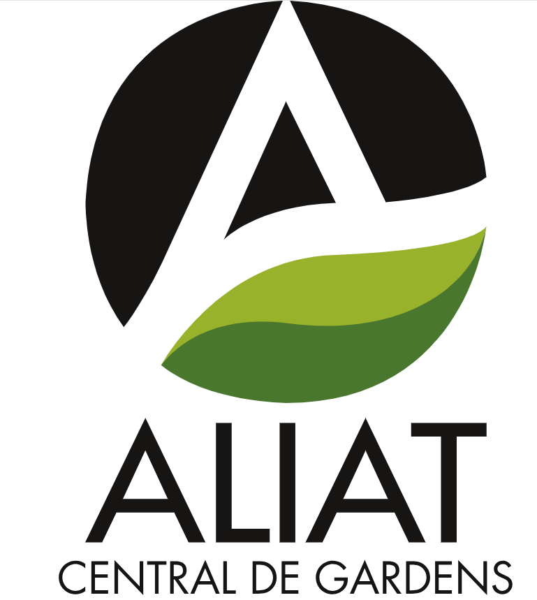 Aliat