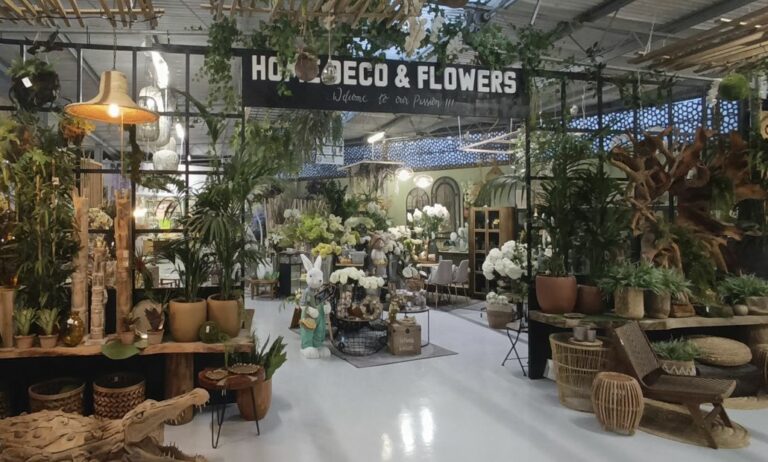 aliat_decoracion_30052023095436