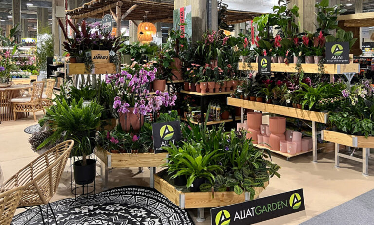 aliat_iberflora_portada_14102024160509
