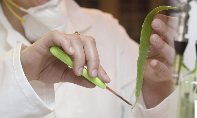 aloe_vera_17072019080050