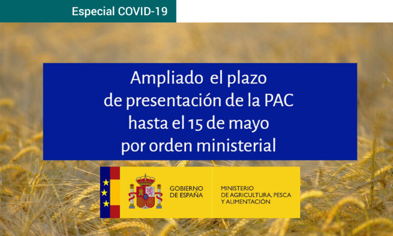 ampliadoplazo_17032020112920