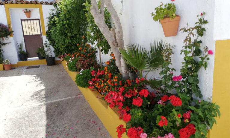 andalucia_en_flor_27062019070849