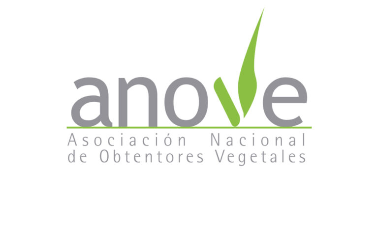 anove_26112024091824