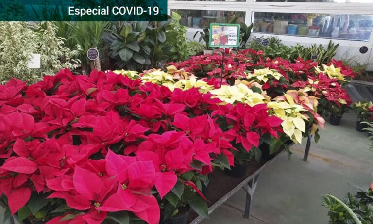 apertura-centros-jardineria_29042020152027