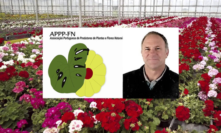 apppfn_12022021085314