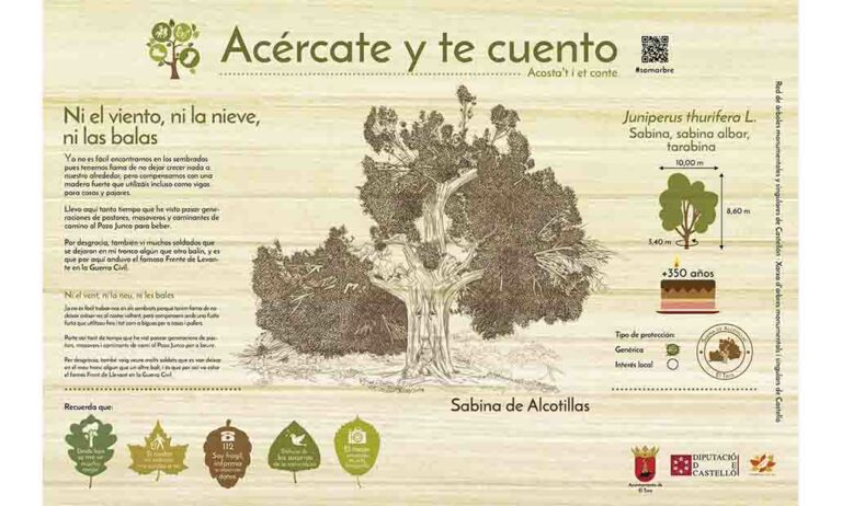 arboles-sigulares-castellon_13012020110534