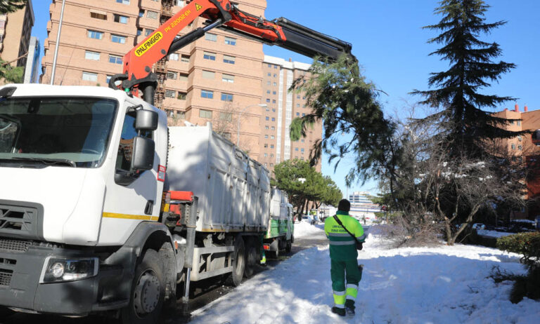 arboles_madrid_18012021124914