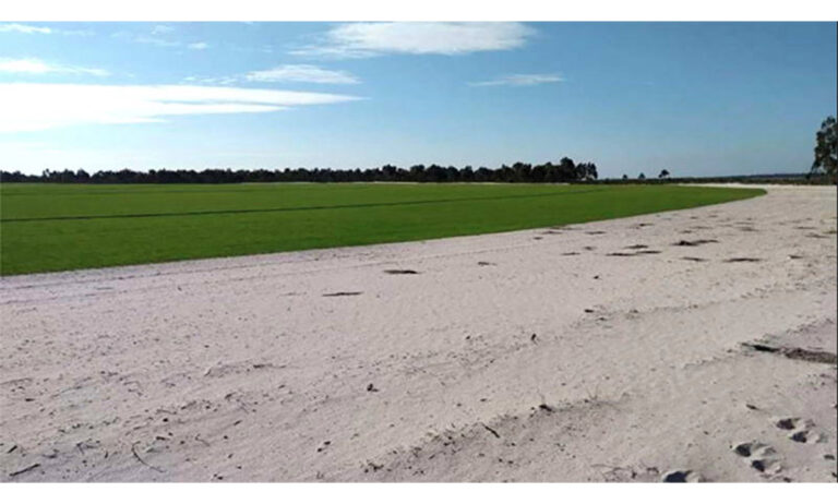 arena-cesped-natural-comporta_21082019102659