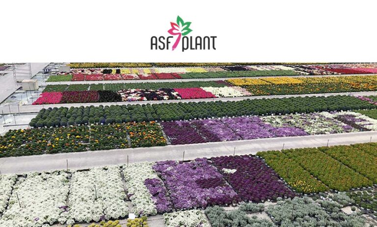 asfplant-ayudas_09052022104908