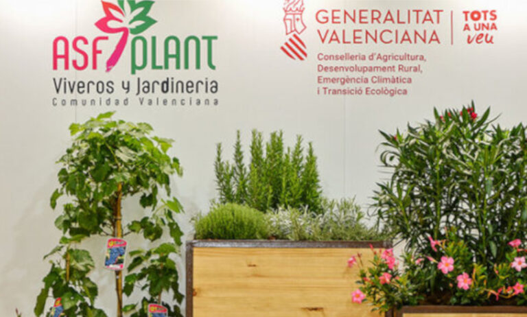 asfplant-nueva-fundacion-825x340_21022022102006