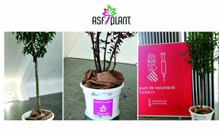 asfplant_cac_23042021141256