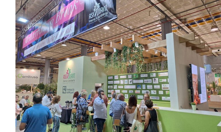 asfplant_ib25_17092025154547