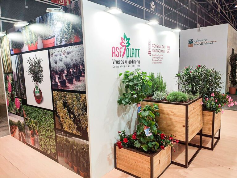 asfplant_web_14092022124805