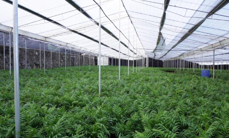 asocan_vivero_07092021131138