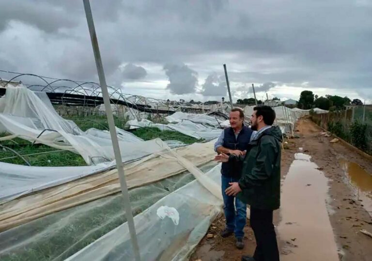 asociaflor-temporal2_27102023093413