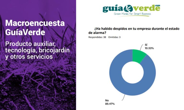 auxiliar-gv_16042020094327