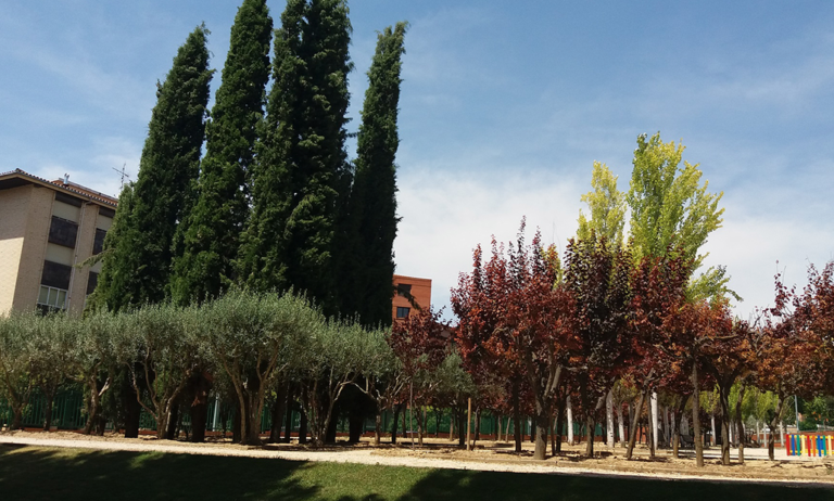 barbastro_25032025113957