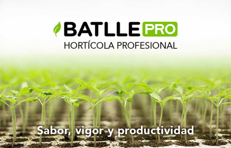 batlle-pro_blog_20052024083005