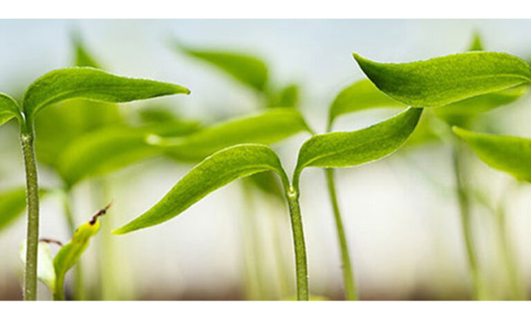 bioestimulants_world_congress_12072019104914
