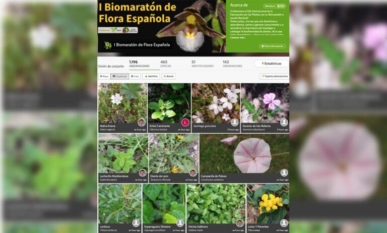 biomaraton_21052021143541
