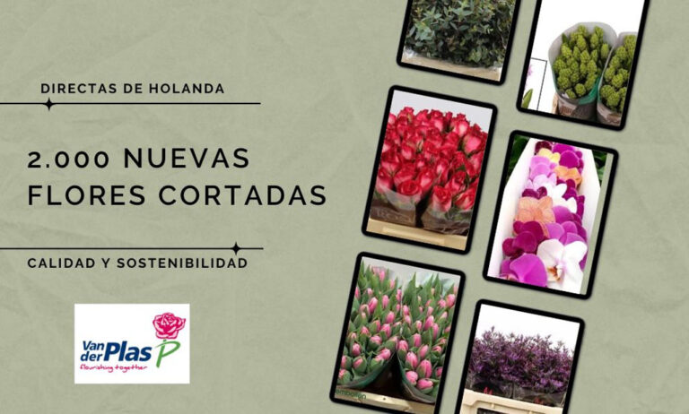 blom_31012023091116