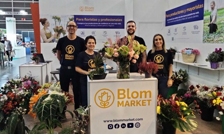 blom_market_11102022103945